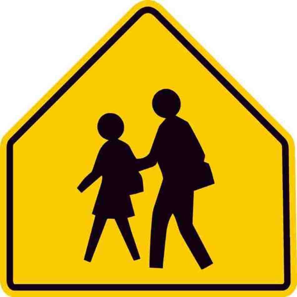 Strive To Earn The Respect Of Fellow Students