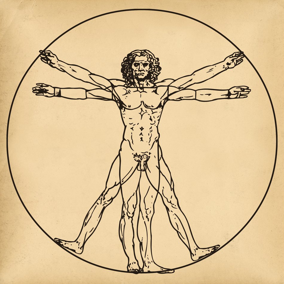 diagram of the human drawing