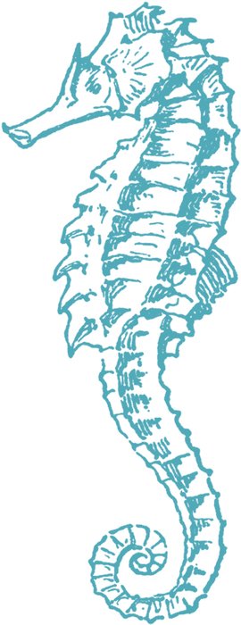 Clipart of sea Horse