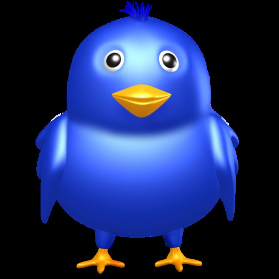 Twitter Bird Free Images At Clkercom Vector Online