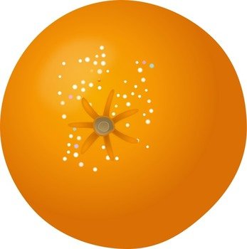 Free Orange Picture 10 Of 29 clipart