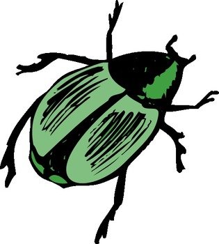 Shiny Green Beetle At Clkercom Vector Online