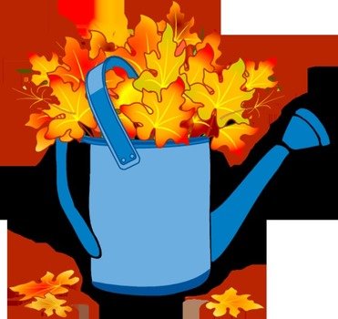 Fall Leaves N16
