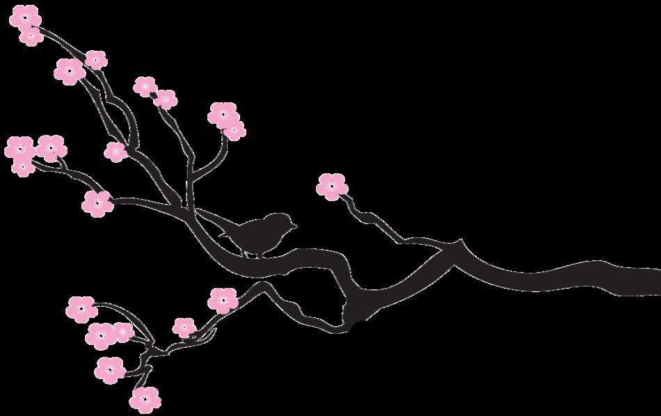 branch with pink flowers at black backgroun, drawing