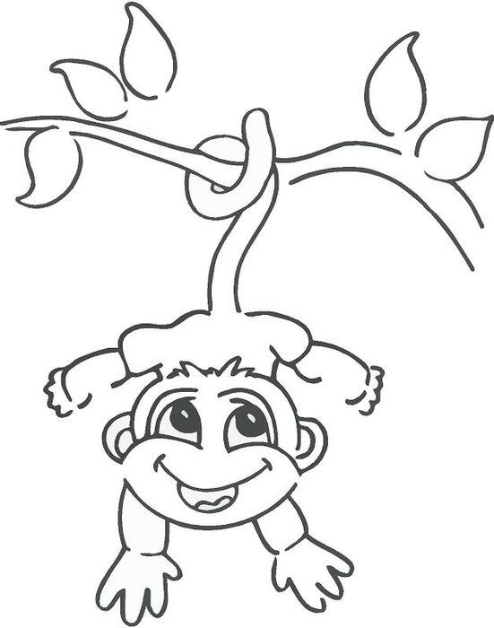 Monkey Hanging On A Tree Drawings