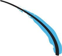 Swoosh Images drawing