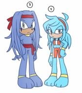 Female Sonic Echidna Oc