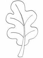 Autumn Coloring Pictures drawing