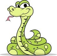 The Year Of Snake