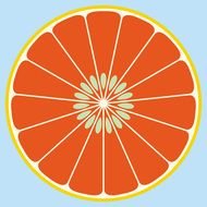 abstract Grapefruit drawing