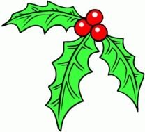 Christmas Holly green flower drawing