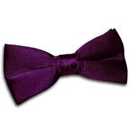 purple bow tie as a picture for clipart