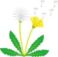 æ¥ã®è±ã®ã¤ã©ã¹ã3 è±ã®ç´ æ ã¤ã©ã¹ãããã