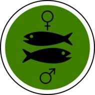 Biodiversity 20clipart Panda Free Images