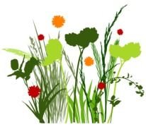 Free Vintage Floral drawing