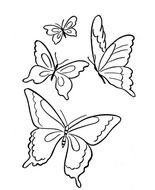 You Can Download Flying Butterfly Drawings In Your Computer By