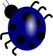 blue ladybug as a graphic image