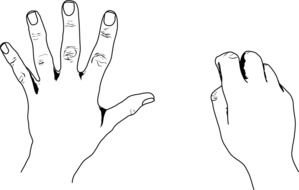 drawn two human hands
