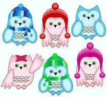 Sale Winter Owls For Commercial And Personal Use Ca17