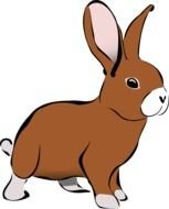 brown rabbit as picture
