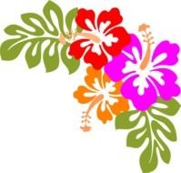 Hawaiian floral pattern