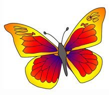 Funny Orange butterfly drawing