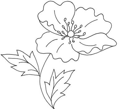 Flower Poppy Coloring Cake Ideas And Designs