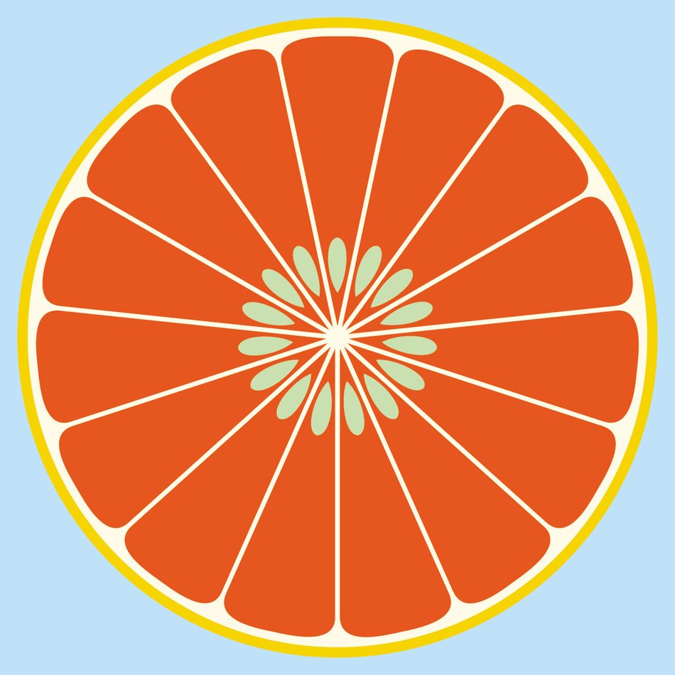 abstract Grapefruit drawing