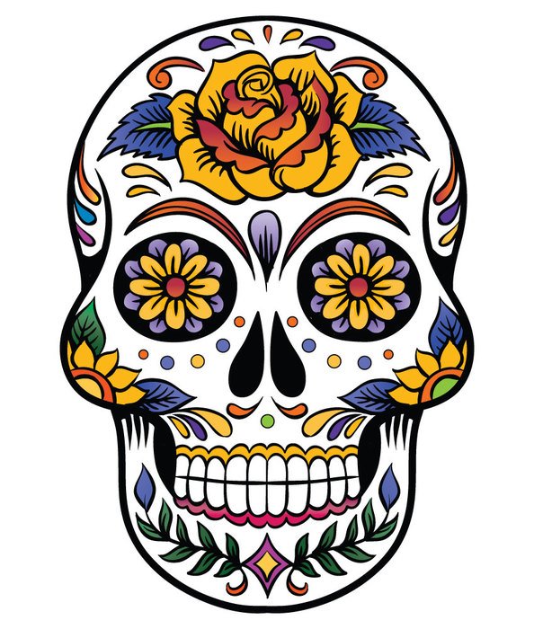 Painted skull with floral pattern free image download