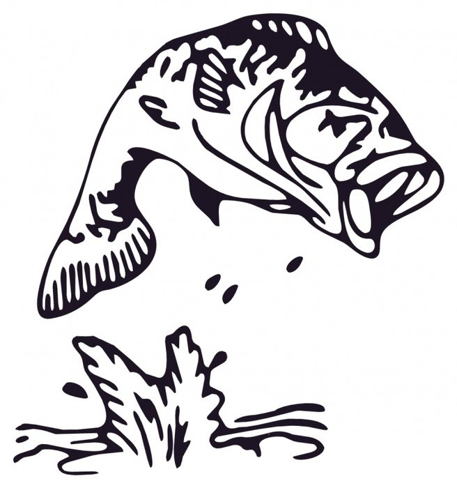 black and white picture of fish above water
