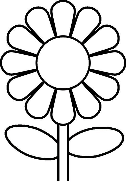 clipart of the flower