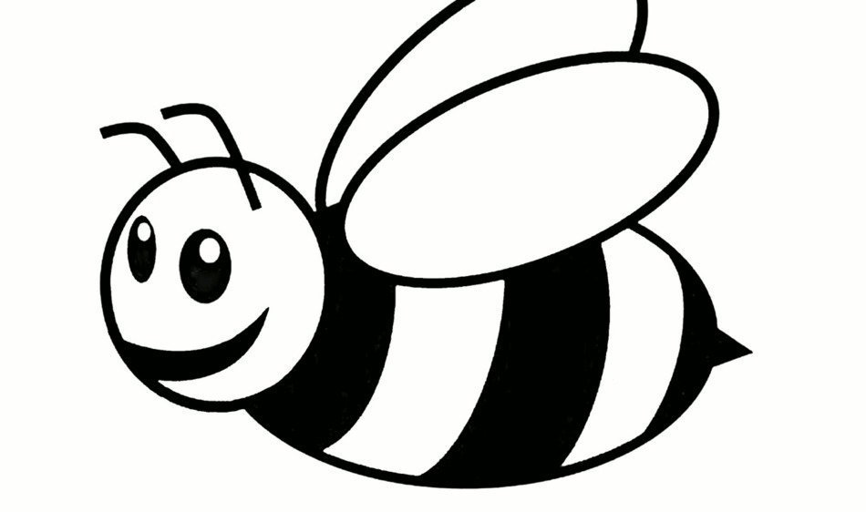 Bee Coloring Pages drawing