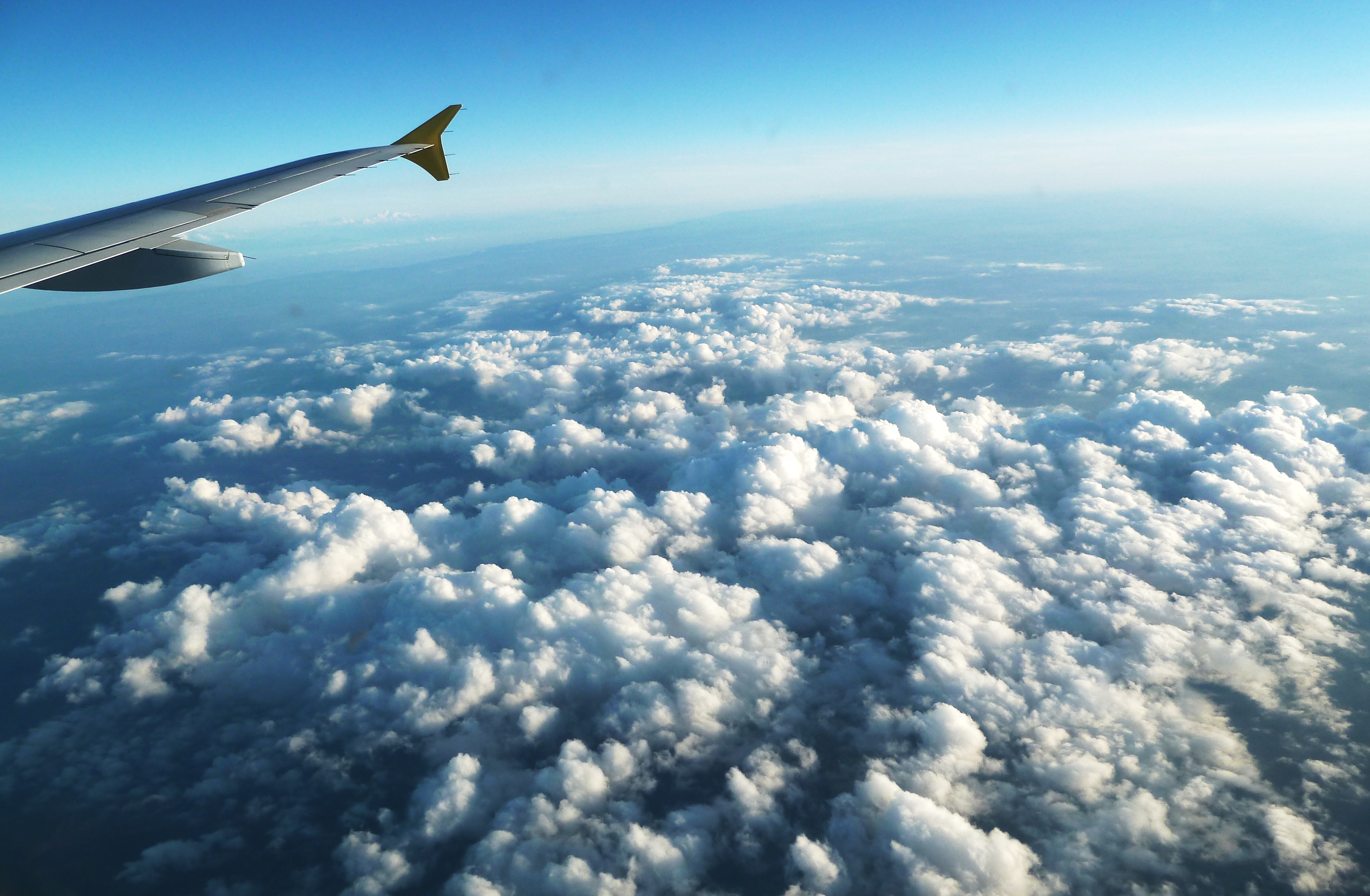 Самолеты над небом. Самолет над облаками. Самолет в небе. Самолет в облаках. Вид с самолета на облака.