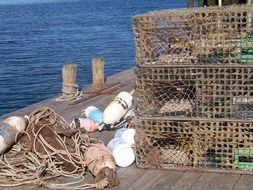 lobster fishing on the pier