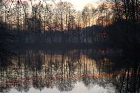trees are mirrored in the lake at dusk