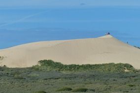 sand dunes, north jutland