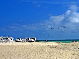 panoramic view of the beach in miami on a sunny day