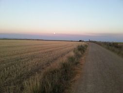 soil road in countryside at sunset, Way of Saint James, spain