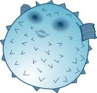 blowfish fish puffer drawing