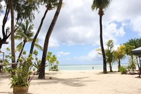 paradise beach with white sand