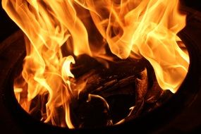 camping fire