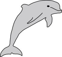 grey dolphin mammal vector drawing