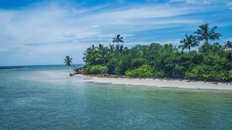 romantic ocean beach in florida view