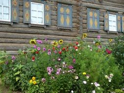 beautiful flowers at the house in the village