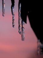 icicle sunset