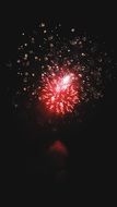 salute in the night sky