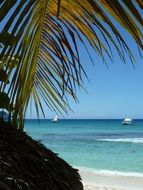 view of the summer tropical beach