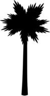 Palm silhouette clipart