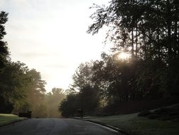 road freedom