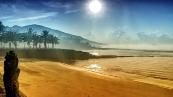 sunset over the beach with palm trees in Bali